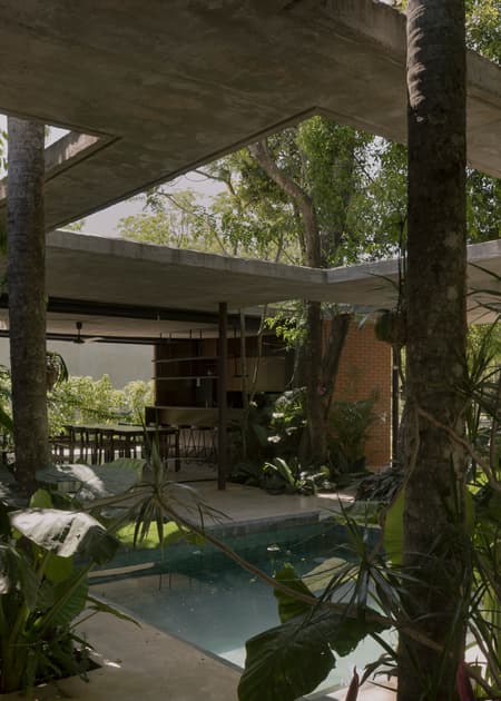 A Forest in the House